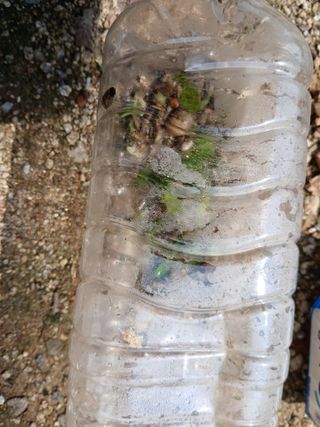 최남옥님의 기타작물 · 영농일지 작성글 사진