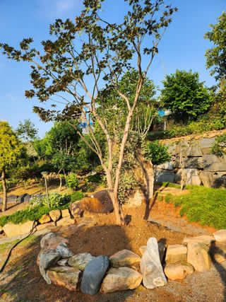 참깨15379님의 기타작물 · 영농일지 작성글 사진