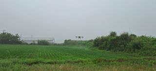 이복길님의 벼 · 영농일지 작성글 사진