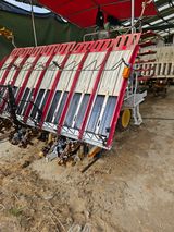 팜모닝 벼·영농일지 게시글 이미지