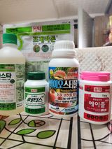 팜모닝 감·영농일지 게시글 이미지