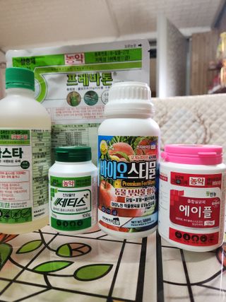 키다리님의 감 · 영농일지 작성글 사진