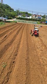 팜모닝 참깨·영농일지 게시글 이미지