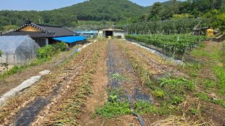 최해목님의 기타작물 · 영농일지 작성글 사진