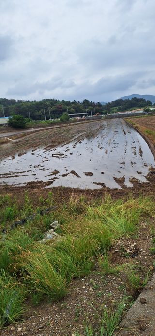김형환 님의 벼 · 영농일지 작성글 사진