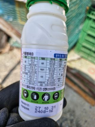 영평골님의 복숭아 · 영농일지 작성글 사진