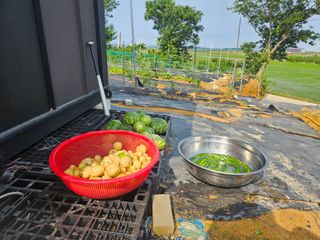 보리수치유농장님의 기타작물 · 영농일지 작성글 사진