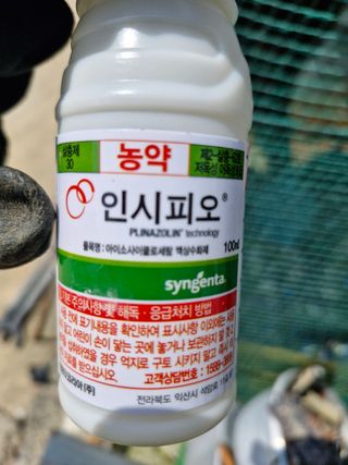 영평골님의 복숭아 · 영농일지 작성글 사진