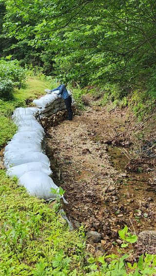 장흥 모경화 님의 기타작물 · 영농일지 작성글 사진