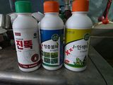 팜모닝 기타작물·영농일지 게시글 이미지