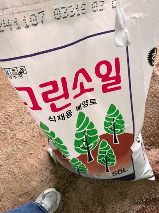 Young님의 블루베리 · 영농일지 작성글 사진