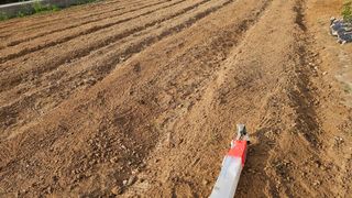 송종철님의 콩 · 영농일지 작성글 사진