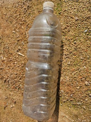 유명숙님의 참깨 · 영농일지 작성글 사진