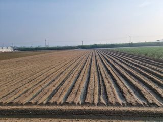 빡구님의 기타작물 · 영농일지 작성글 사진