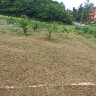 김건우님의 기타작물 · 영농일지 작성글 사진