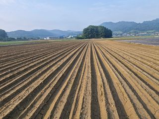 빡구님의 기타작물 · 영농일지 작성글 사진