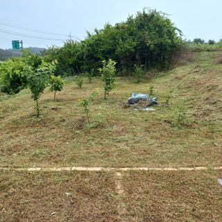 김건우님의 기타작물 · 영농일지 작성글 사진