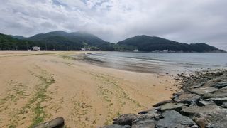 촌사리님의 호박 · 영농일지 작성글 사진