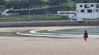 촌사리님의 호박 · 영농일지 작성글 사진