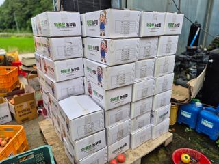 늘햇살팜 님의 기타작물 · 영농일지 작성글 사진