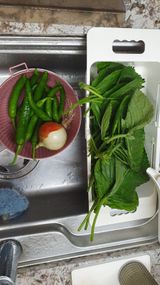 팜모닝 기타작물·영농일지 게시글 이미지