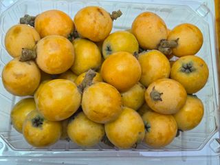 윤보라님의 기타작물 · 영농일지 작성글 사진