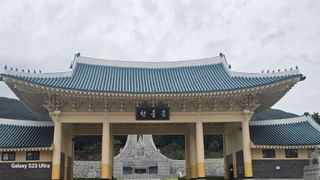 임일재님의 감자 · 영농일지 작성글 사진