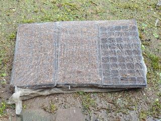 땍은이님의 옥수수 · 영농일지 작성글 사진