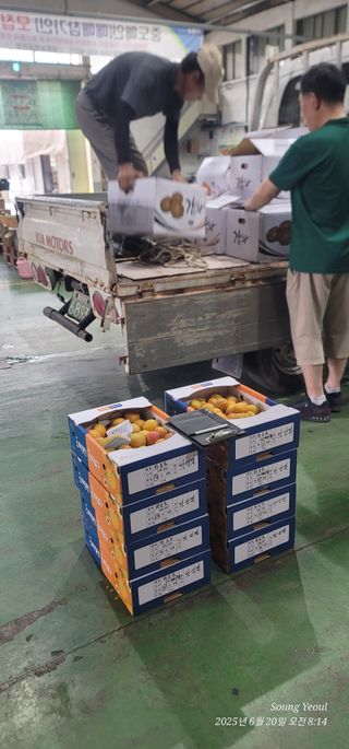 엄성열님의 기타작물 · 영농일지 작성글 사진