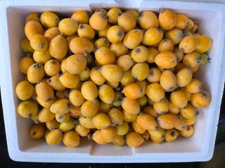 윤보라님의 기타작물 · 영농일지 작성글 사진