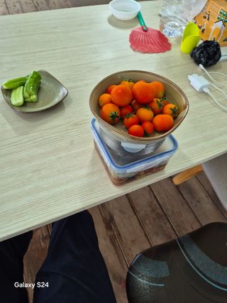 한양희님의 고추 · 영농일지 작성글 사진