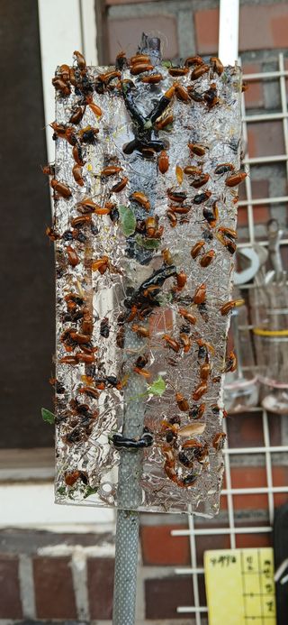 우철님의 기타작물 · 영농일지 작성글 사진