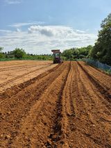 팜모닝 콩·영농일지 게시글 이미지