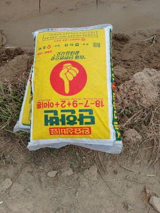 고구마20973님의 벼 · 영농일지 작성글 사진