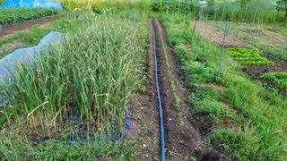 정인재님의 기타작물 · 영농일지 작성글 사진