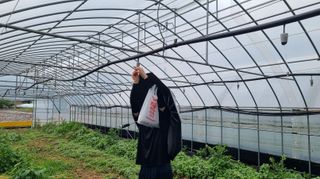 땍은이님의 블루베리 · 영농일지 작성글 사진