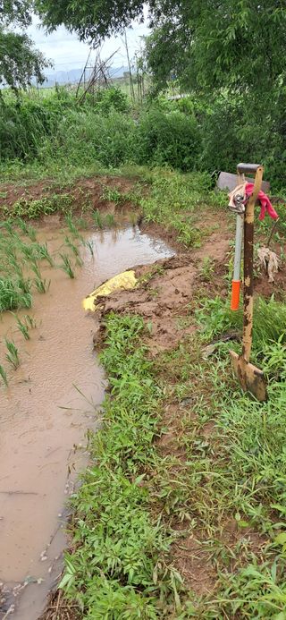이복길님의 벼 · 영농일지 작성글 사진