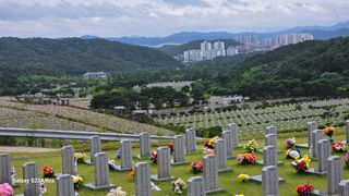 임일재님의 감자 · 영농일지 작성글 사진