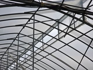 땍은이님의 블루베리 · 영농일지 작성글 사진