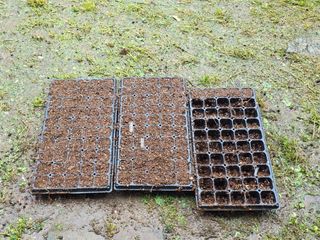 땍은이님의 옥수수 · 영농일지 작성글 사진