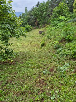 팜모닝회원류한배님의 기타작물 · 영농일지 작성글 사진