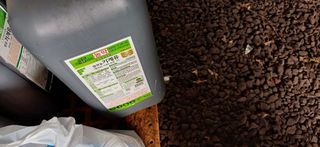 보물섬남자님의 귤 · 영농일지 작성글 사진