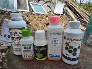 邦人님의 기타작물 · 영농일지 작성글 사진