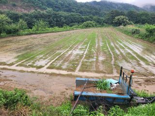 이남주님의 콩 · 영농일지 작성글 사진