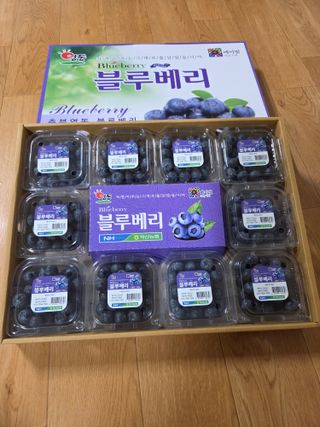 참깨17081님의 블루베리 · 영농일지 작성글 사진