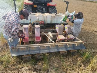 김영준님의 콩 · 영농일지 작성글 사진