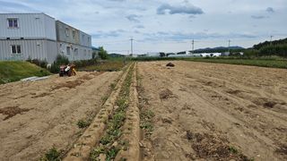 김남근님의 감자 · 영농일지 작성글 사진