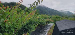 엄성열님의 기타작물 · 영농일지 작성글 사진