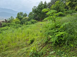 팜모닝회원류한배님의 기타작물 · 영농일지 작성글 사진