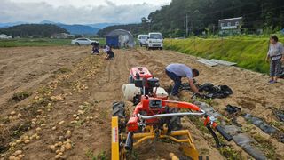김남근님의 감자 · 영농일지 작성글 사진